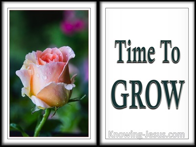 Time To Grow  - Grace Thru Faith- study [6]